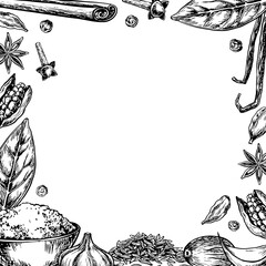 Frame with spices. Vector graphics depicting aromatic culinary spices of different types. Black and white hand-drawn illustrations. On a white background. For banners, menus, posters, labels, packages