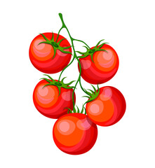 Branch of fresh tomatoes in cartoon style. Vector illustration of red tomatoes with green stems isolated on white background. Useful, vitamin vegetables. A round tomato. Cherry tomatoes.