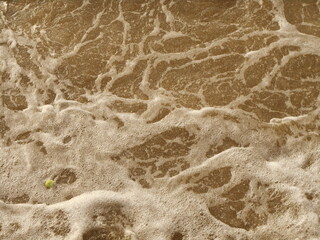 Turbid river water the color of coffee with milk.