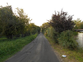Dirt road.