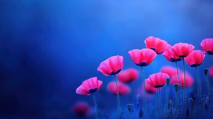 Fototapeta premium Experience the beauty of vibrant poppy flowers blooming in a serene landscape, showcasing natures colorful art.