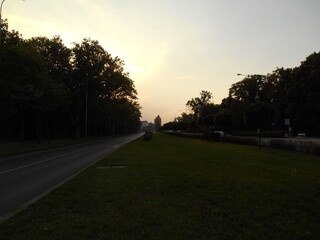 Lawn, trees and roads in the city.