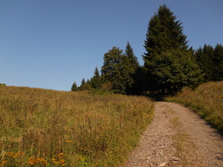 Suche Mountains, Poland. Mountain meadow and road.