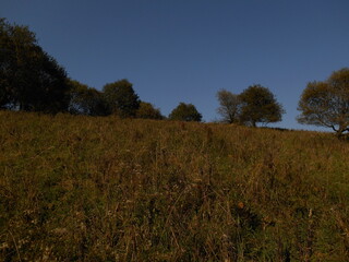 Obraz premium Suche Mountains, Poland. Mountain meadow.