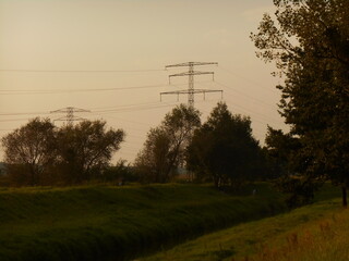Trees and supporting structures above the river, against the sky.
