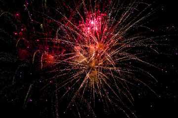 Fireworks in the night sky