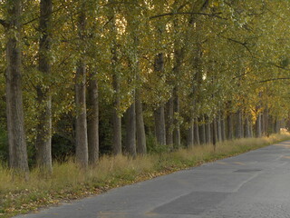 Naklejka premium City landscape, Wroclaw, Poland