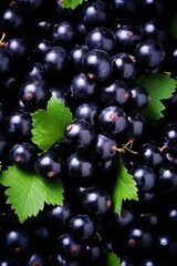 A close-up view of fresh blackcurrants with leaves.
