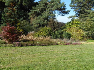 Trees and shrubs in the arboretum.