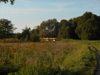 A small bridge among the greenery.