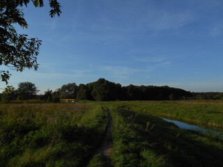 Landscape