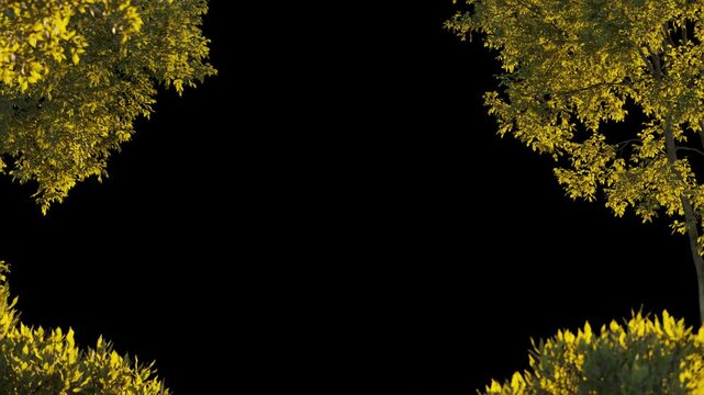 Foreground autumn tree and bush leaves frame isolated on black background closeup. 4K Fall yellow tree leaf Frame