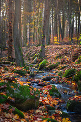 Close-up view of a small waterfall in an autumn forest stream with blurred water