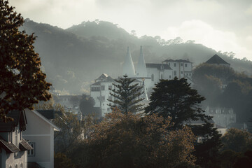 Fototapete bei efototapeten.de bestellen   