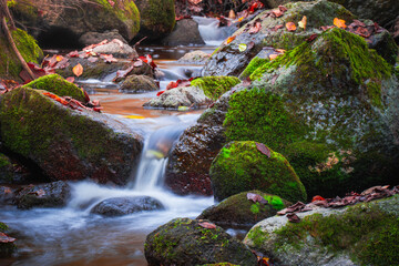 Stream in autumn forest with blurred water and moss-covered rocks from a low angle view