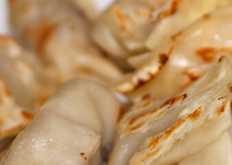 food details. gyoza with selective focus. close up on gyoza. group of gyoza.