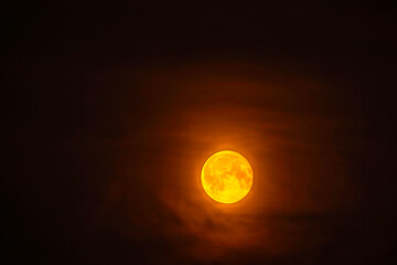 Obraz premium Bright full moon glowing orange against dark night sky, creating dramatic and mysterious atmosphere.