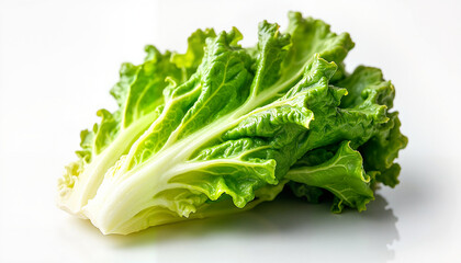 Fresh green lettuce leaves on white background