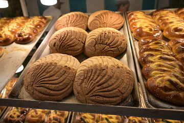 concha de vainilla y chocolate, panes mexicanos