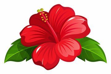 Flower red hibiscus isolated on white background vector art illustration © Jhanto