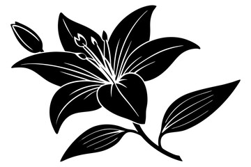 Bright pink lily with buds and leaves vector art illustration