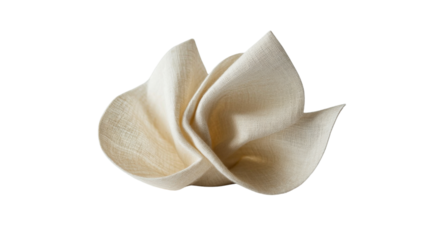 Intricately folded napkin on transparent background