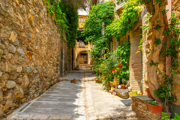 A domestic cat lounges in a narrow residential alley with stone walls in the historic old town...