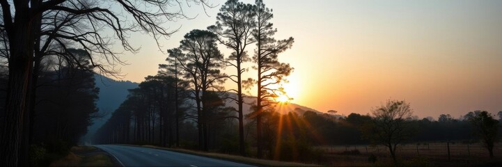 Fototapeta premium Scenic road winding through lush forest with towering ancient trees and golden sunset shining through branches, travel, ancient