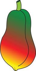 colorful papaya fruit vector illustration