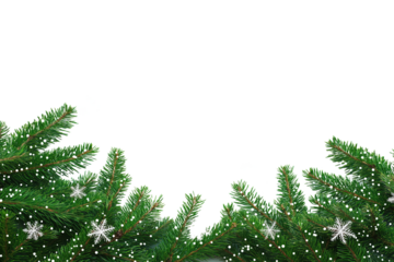 Green pine tree branches border on isolated background. Fir branches with white snowflakes decoration, suitable for Christmas, winter holidays design. Perfect for festive greeting cards, invitation,