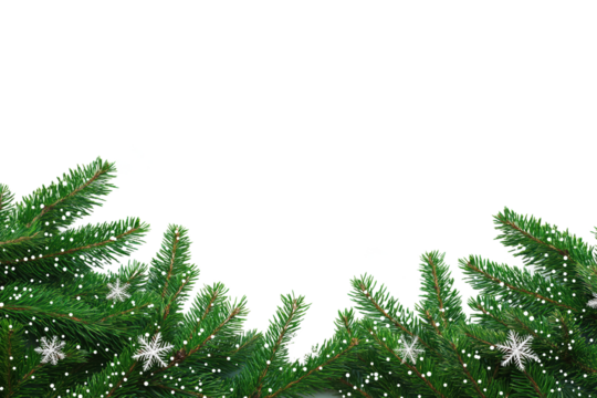 Green pine tree branches border on isolated background. Fir branches with white snowflakes decoration, suitable for Christmas, winter holidays design. Perfect for festive greeting cards, invitation,