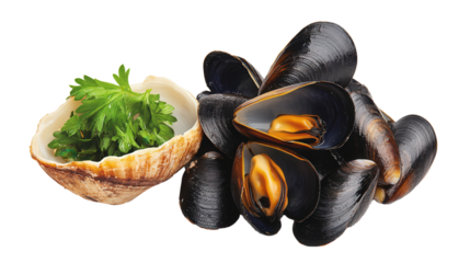 black mussels, isolated, transparent, png, background