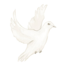 Dove Beige in Flight Illustration Digital Watercolor for Printing and Web