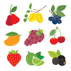 Flavors of the Tropics with Exotic Fruits
