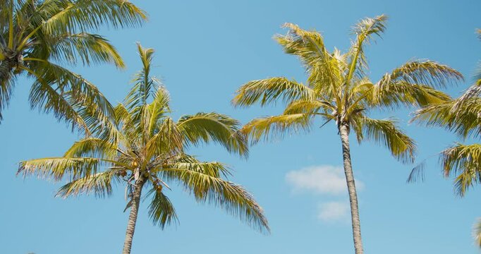 Anakena Beach, Easter Island
