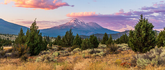 Mt. Shasta at Dawn