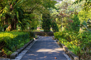 Garden Pathway