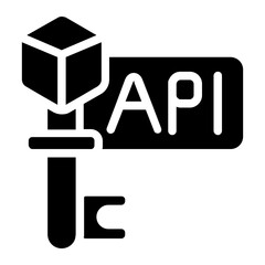 API Key Solid Icon