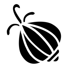 Onion Solid Icon