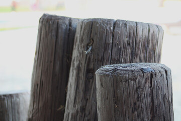 row of wooden posts in the sand