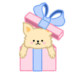 Cute dog in a gift box illustration 