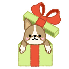 Cute dog in a gift box illustration 