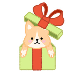 Cute dog in a gift box illustration 