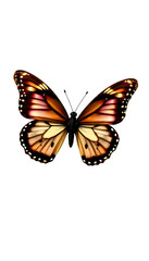 Obraz premium Julia Butterfly isolated with white highlights, png