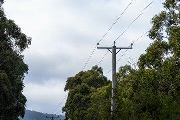 wooden power pole and power lines going through a forest