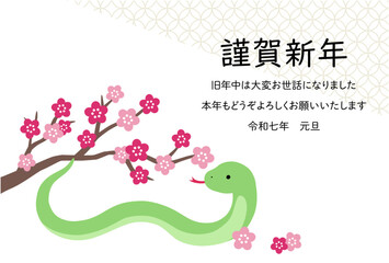 Fototapeta premium 2025年巳年の年賀状テンプレート 蛇年 かわいい 梅の花 ベクター