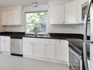 Modern residential kitchen interior