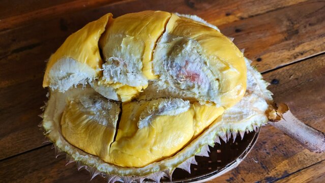 The durian fruit flesh is of the Bawor type, which is a cross between superior local durian (Banyumas, Central Java) and montong durian, which has a sweet, legit taste with a slightly bitter taste.