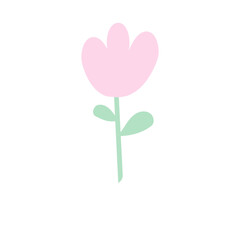 Rose pink flower