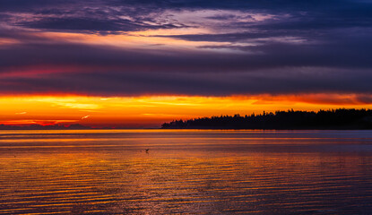 Fototapeta premium Stunning Sunset Over Victoria, Vancouver Island Coastline